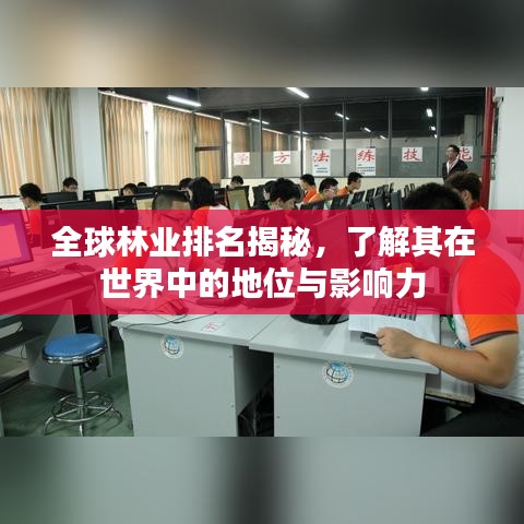 全球林業(yè)排名揭秘，了解其在世界中的地位與影響力