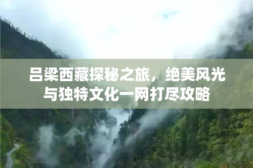 呂梁西藏探秘之旅，絕美風光與獨特文化一網(wǎng)打盡攻略