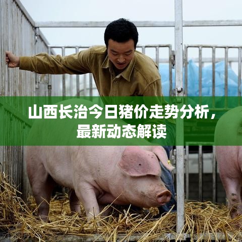 山西長(zhǎng)治今日豬價(jià)走勢(shì)分析，最新動(dòng)態(tài)解讀
