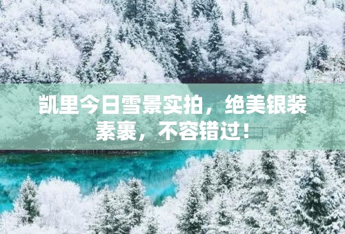 凱里今日雪景實(shí)拍，絕美銀裝素裹，不容錯過！