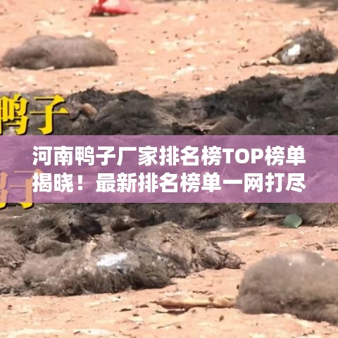 河南鴨子廠家排名榜TOP榜單揭曉！最新排名榜單一網(wǎng)打盡！
