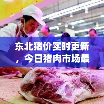 東北豬價實(shí)時更新，今日豬肉市場最新動態(tài)分析
