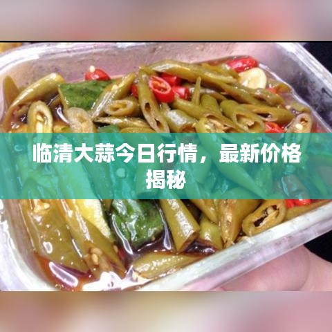 臨清大蒜今日行情，最新價格揭秘