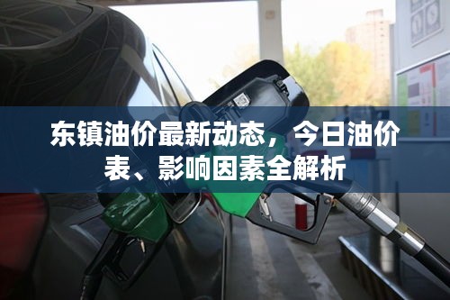 東鎮(zhèn)油價(jià)最新動(dòng)態(tài)，今日油價(jià)表、影響因素全解析