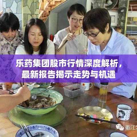 樂藥集團股市行情深度解析，最新報告揭示走勢與機遇