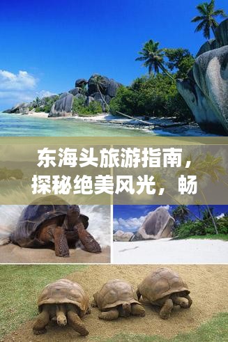 東海頭旅游指南，探秘絕美風光，暢游夢幻之旅！