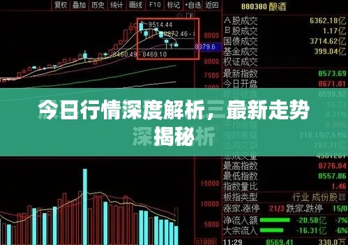 今日行情深度解析，最新走勢揭秘