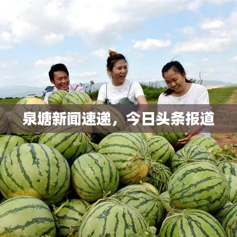 泉塘新聞速遞，今日頭條報(bào)道