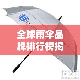 全球雨傘品牌排行榜揭曉，TOP品牌大比拼！