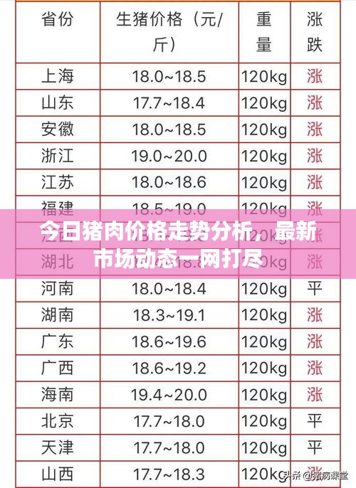 今日豬肉價格走勢分析，最新市場動態(tài)一網(wǎng)打盡