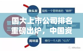 國大上市公司排名重磅出爐，中國資本市場龍頭企業(yè)全景解析