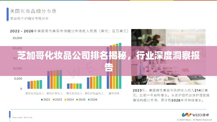 芝加哥化妝品公司排名揭秘，行業(yè)深度洞察報(bào)告