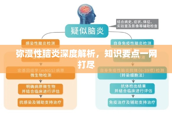 彌漫性腦炎深度解析，知識要點一網(wǎng)打盡