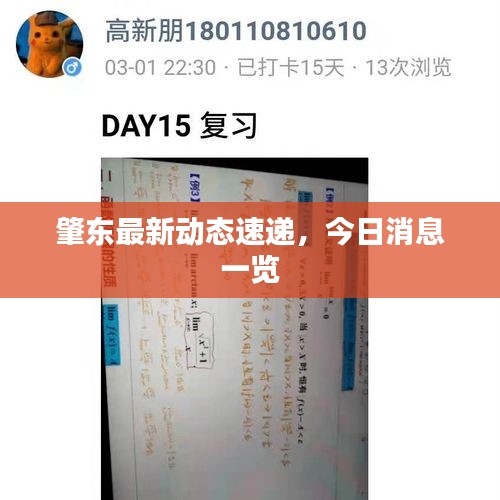 肇東最新動態(tài)速遞，今日消息一覽