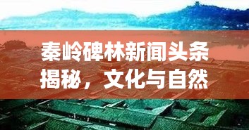 秦嶺碑林新聞頭條揭秘，文化與自然的和諧交融之旅