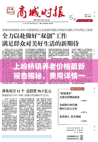 上嶺橋鎮(zhèn)養(yǎng)老價(jià)格最新報(bào)告揭秘，費(fèi)用詳情一網(wǎng)打盡
