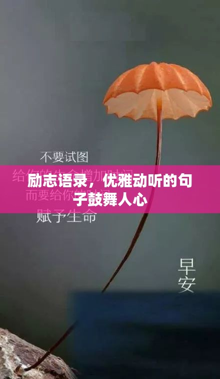 勵志語錄，優(yōu)雅動聽的句子鼓舞人心