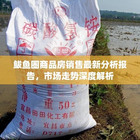 鲅魚圈商品房銷售最新分析報(bào)告，市場(chǎng)走勢(shì)深度解析