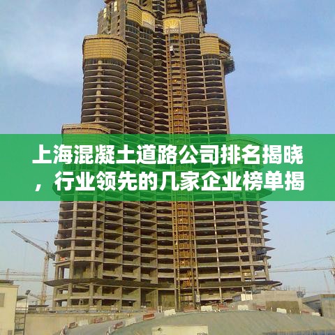 上?；炷恋缆饭九琶視裕袠I(yè)領(lǐng)先的幾家企業(yè)榜單揭曉！