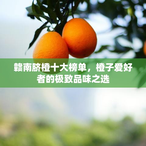 贛南臍橙十大榜單，橙子愛好者的極致品味之選