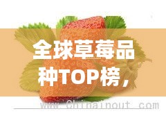 物是人非 第3頁
