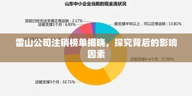 雷山公司注銷榜單揭曉，探究背后的影響因素