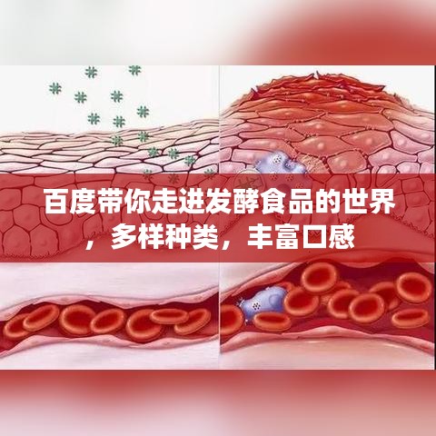 百度帶你走進(jìn)發(fā)酵食品的世界，多樣種類，豐富口感