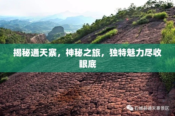 揭秘通天寨，神秘之旅，獨特魅力盡收眼底