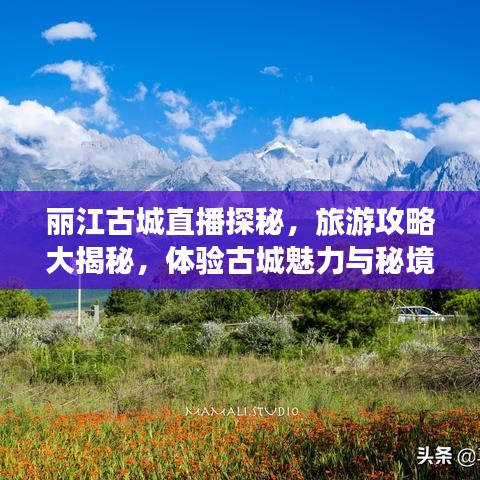 麗江古城直播探秘，旅游攻略大揭秘，體驗(yàn)古城魅力與秘境之旅！