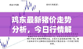 雞東最新豬價(jià)走勢(shì)分析，今日行情解讀