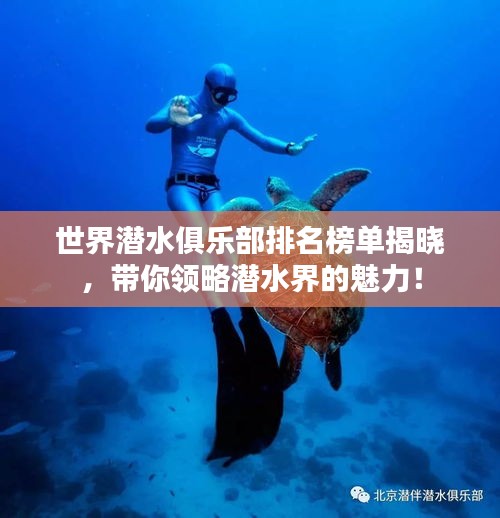 世界潛水俱樂部排名榜單揭曉，帶你領(lǐng)略潛水界的魅力！