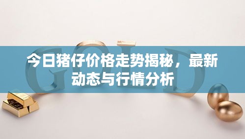 今日豬仔價格走勢揭秘，最新動態(tài)與行情分析