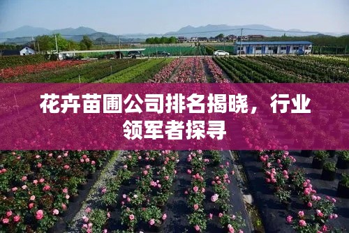 花卉苗圃公司排名揭曉，行業(yè)領(lǐng)軍者探尋