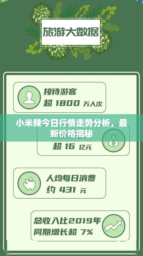 小米辣今日行情走勢(shì)分析，最新價(jià)格揭秘