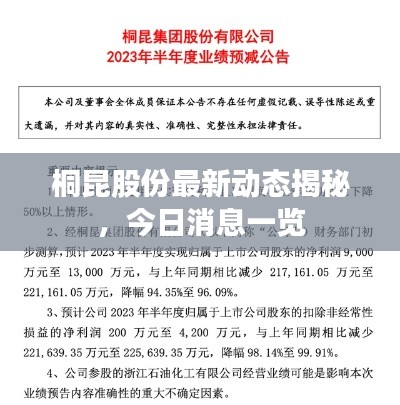 桐昆股份最新動態(tài)揭秘，今日消息一覽