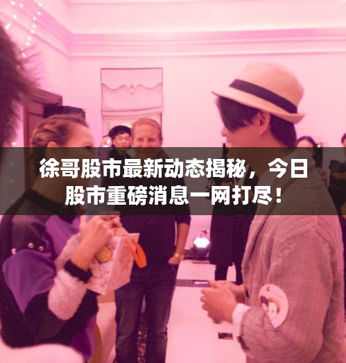 徐哥股市最新動(dòng)態(tài)揭秘，今日股市重磅消息一網(wǎng)打盡！