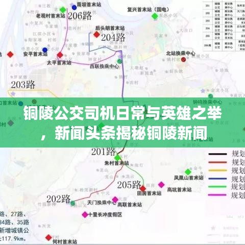 銅陵公交司機(jī)日常與英雄之舉，新聞?lì)^條揭秘銅陵新聞