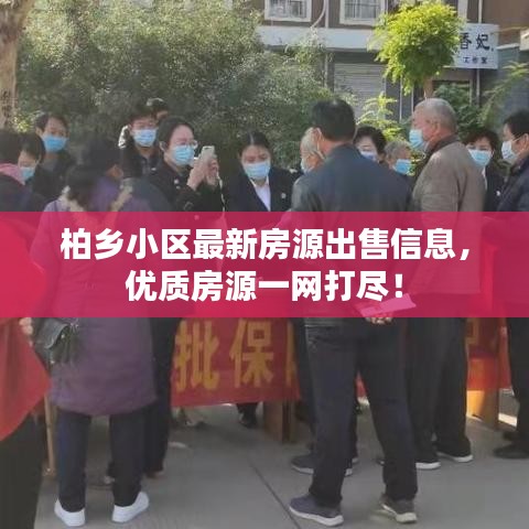 柏鄉(xiāng)小區(qū)最新房源出售信息，優(yōu)質(zhì)房源一網(wǎng)打盡！
