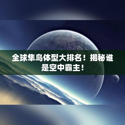 全球隼鳥(niǎo)體型大排名！揭秘誰(shuí)是空中霸主！