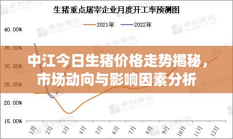 中江今日生豬價(jià)格走勢(shì)揭秘，市場(chǎng)動(dòng)向與影響因素分析