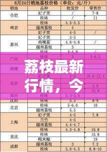 荔枝最新行情，今日價格走勢分析