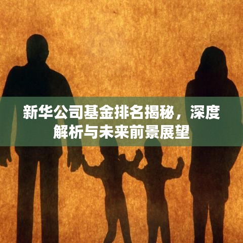 新華公司基金排名揭秘，深度解析與未來(lái)前景展望