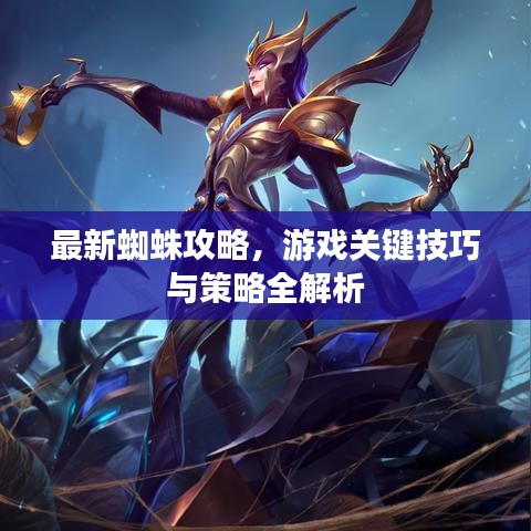 最新蜘蛛攻略，游戲關(guān)鍵技巧與策略全解析