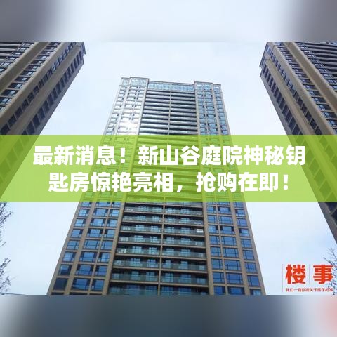 最新消息！新山谷庭院神秘鑰匙房驚艷亮相，搶購在即！