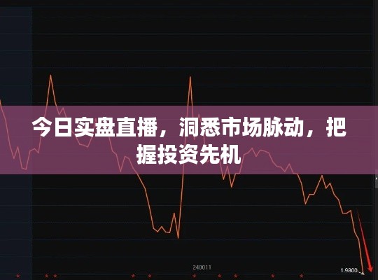 今日實(shí)盤(pán)直播，洞悉市場(chǎng)脈動(dòng)，把握投資先機(jī)