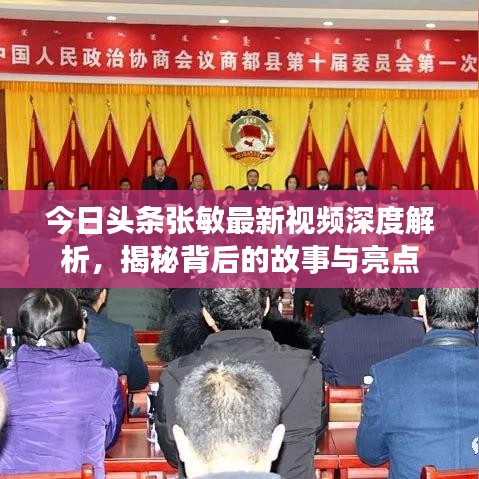 今日頭條張敏最新視頻深度解析，揭秘背后的故事與亮點