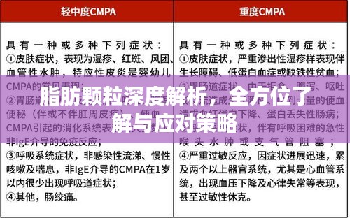 脂肪顆粒深度解析，全方位了解與應(yīng)對策略