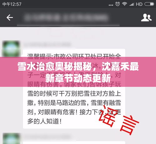 雪水治愈奧秘揭秘，沈嘉禾最新章節(jié)動態(tài)更新