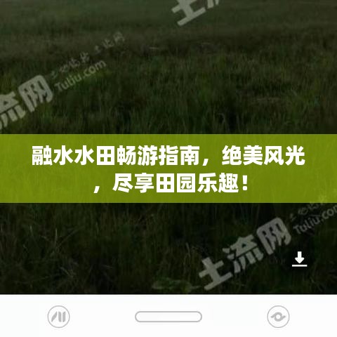融水水田暢游指南，絕美風光，盡享田園樂趣！