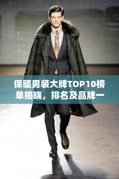 保暖男裝大牌TOP10榜單揭曉，排名及品牌一網(wǎng)打盡